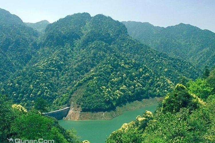 井之旅温馨提示-旅游保险不可忽视的问题