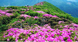 井之旅旅游网---特别提醒：外出旅游牢记八大要素