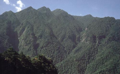 井之旅旅游网----我省28家景区两人同行一人免单