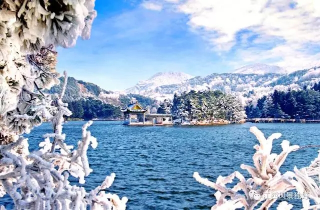 井冈山最新消息------江西最美的冬天在哪里？