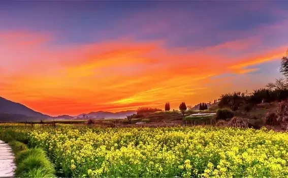 吉安市青原区第八届庐陵文化旅游节盛情邀约！