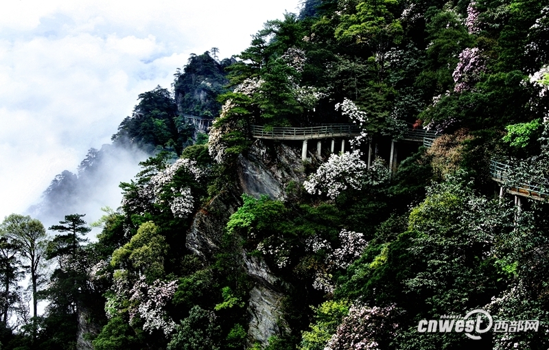 井冈山最新消息--重磅！江西这些地方享誉全国！快看看有你家乡吗？