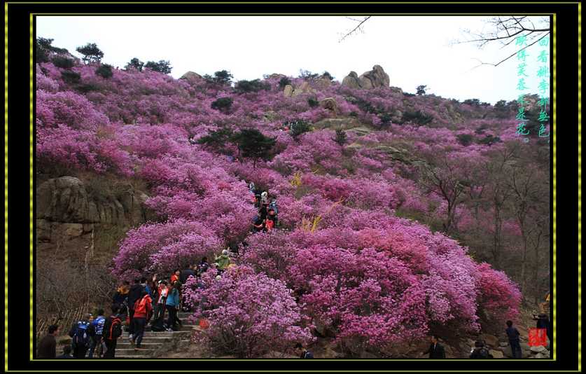 井冈山快讯--我省2018年清明假期旅游市场运行