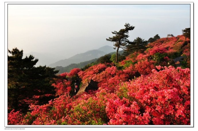 朱 虹：走遍江西100县