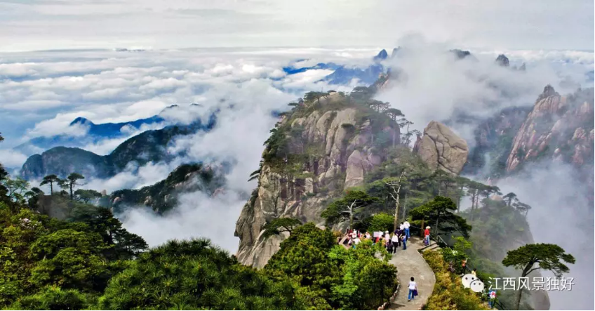井冈山消息--5A景区口碑大评比！江西这个景区夺冠？