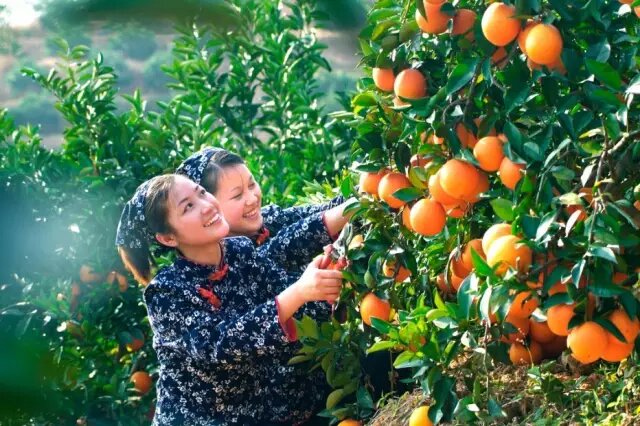 井冈山消息--“一小时打卡江西”旅游推介活动 嗨翻泰国暹罗广场