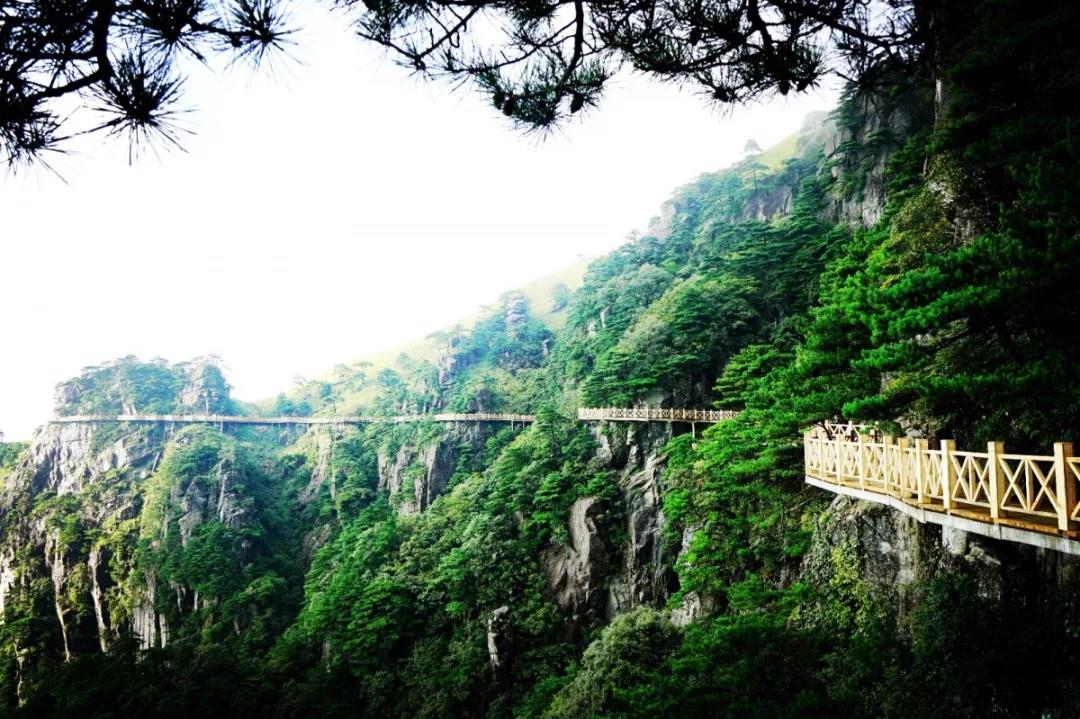 井冈山消息--2018鹰潭·龙虎山旅游推介会举行