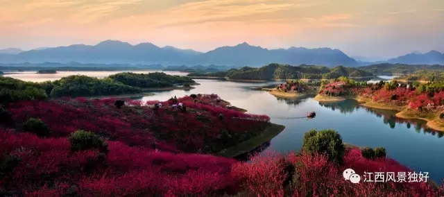 井冈山消息--奋力迈向全国第一方阵——江西全域旅游扬优成势