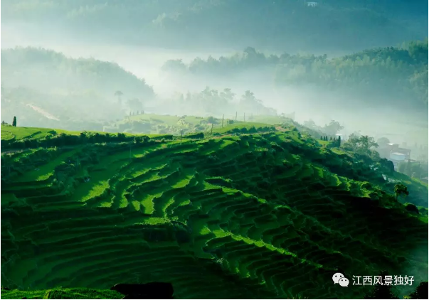 井冈山消息--2019年全国艺术创作工作会议在京召开