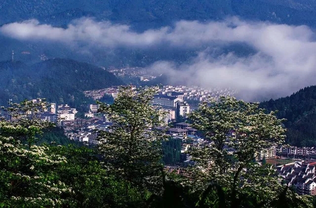 井冈山消息--池红在宜调研省旅发大会筹备工作时指出 凸显宜春特色文化 创新旅游发展模式