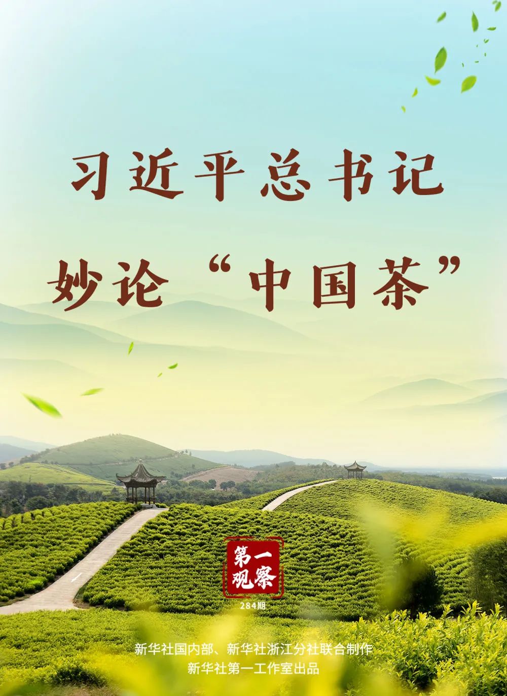 习近平总书记妙论“中国茶”