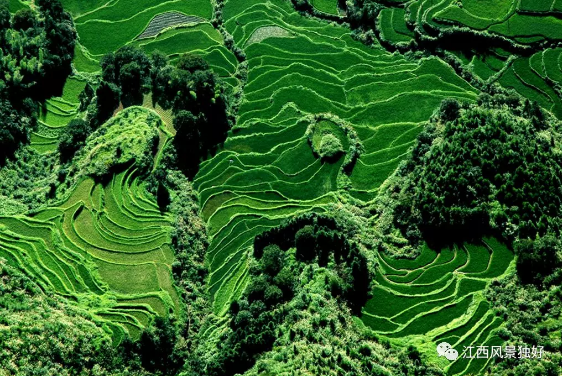 江西省文旅产业投融资大会在南昌召开